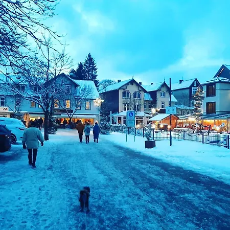 아파트 Harz-forest-inn *