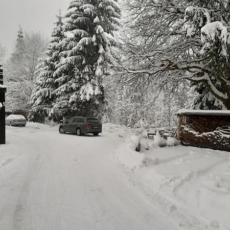 Harz-forest-inn *