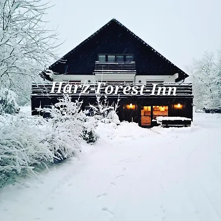 Harz-forest-inn Apartment